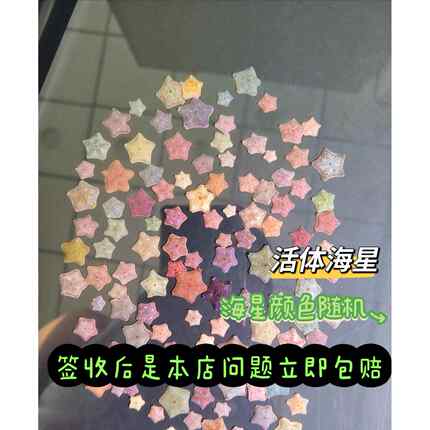 家养小水母海星海燕宠物海缸动物派大星迷你海洋生物清洁活物