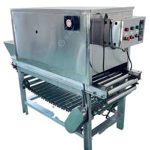 洋葱 全自动链式 商用干法洋葱脱皮机 无损伤气脱皮圆洋葱头剥皮机