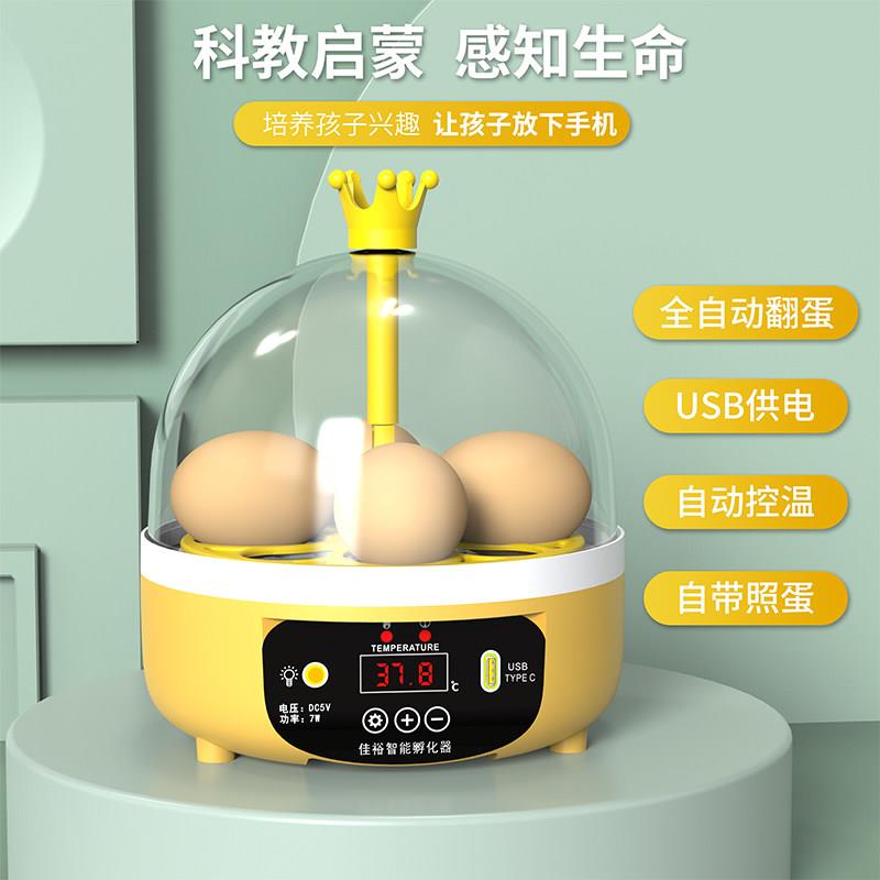 迷你小型孵蛋器全自动儿童孵化器智能孵化机4枚科教实验孵蛋机