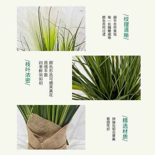 北欧装饰摆设狗尾巴草居家客厅苇草盆栽植仿真ins假芦盆栽仿真绿
