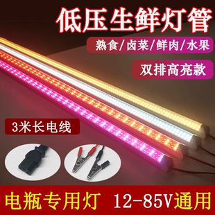 85V生鲜熟食灯管电动车48V60V水果猪肉 电瓶灯夜市地摊灯低压12