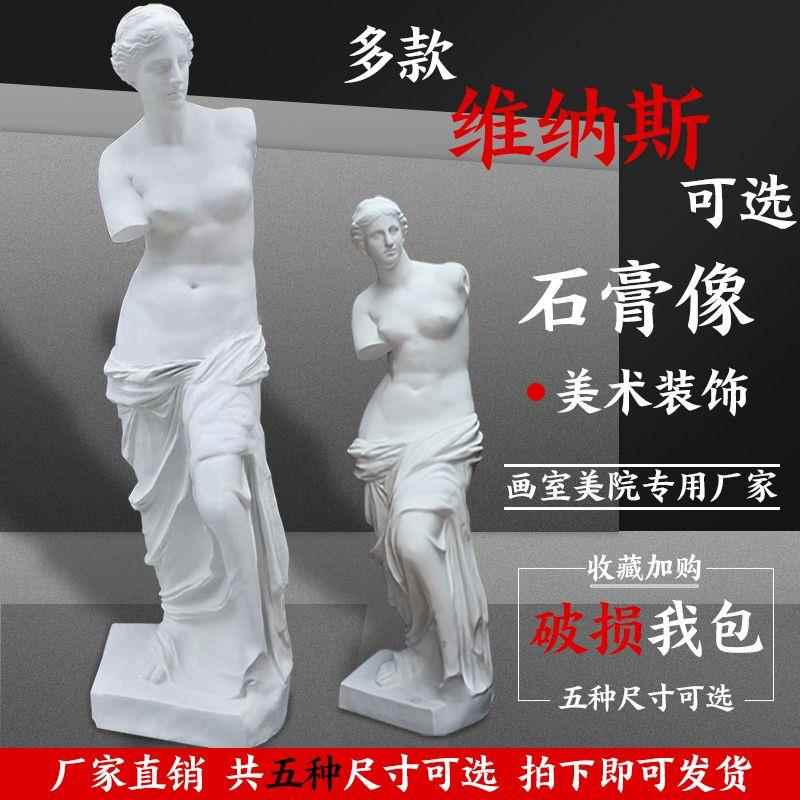 石膏像维纳斯石膏全身大号教具美术素描模型画室学校考级雕像摆件