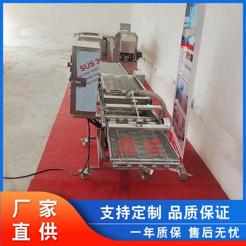 全自动鱼片裹浆设备 南瓜条淋浆流水线 小型鸡排挂浆机 生产厂家