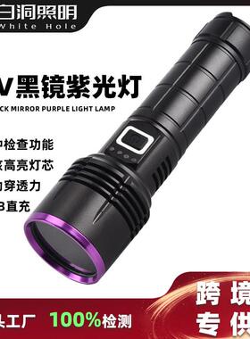 跨境新款大功率紫光灯365nm铝合金钱币鉴定防伪蝎子灯猫藓紫光灯