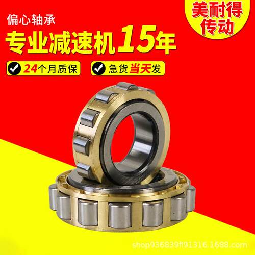 偏心轴承滚珠轴承RN205/RN206/RN219/RN222/RN307/RN309/RN312