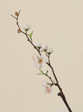 扶光疏影折枝盼折柳舞蹈花枝道具桃之夭夭灼灼其华仿真梅花桃花