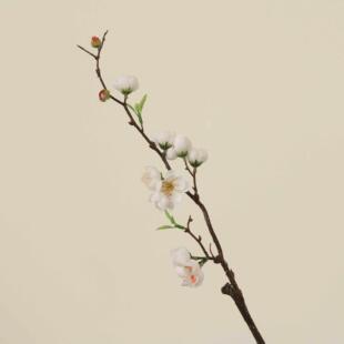 扶光疏影折枝盼折柳舞蹈花枝道具桃之夭夭灼灼其华仿真梅花桃花