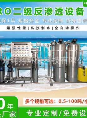 水处理设备工业纯净水制水设备1000L双级RO反渗透水处理系统