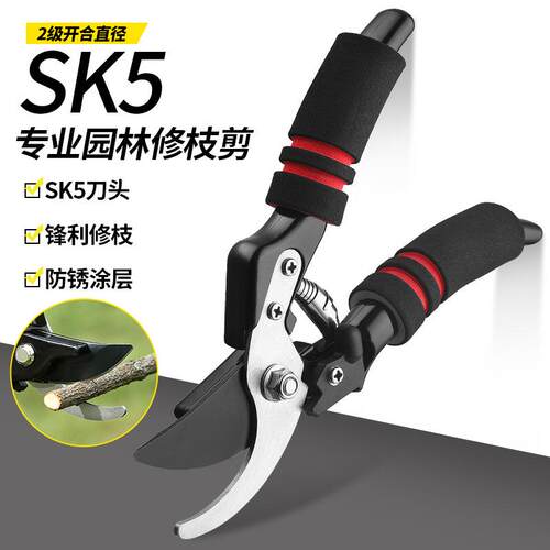 SK5钢园艺修枝剪粗枝剪刀修枝摘果剪强力剪子不锈钢园林工艺剪刀