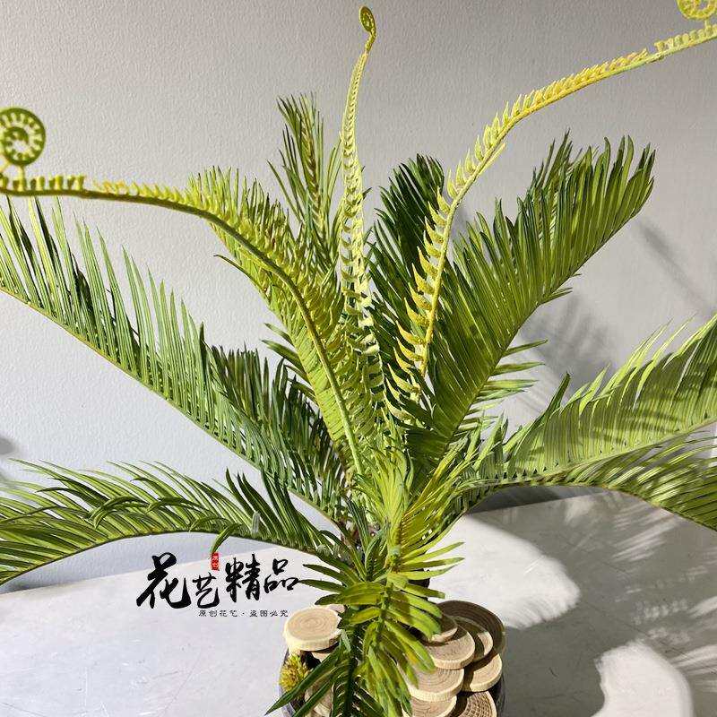 仿真苏铁树霸王蕨波斯草软胶插花素材陈列花艺美陈单只/束橱窗田