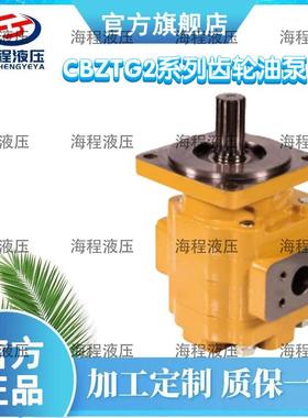 CBZTG2系列齿轮油泵单联泵C单联泵
