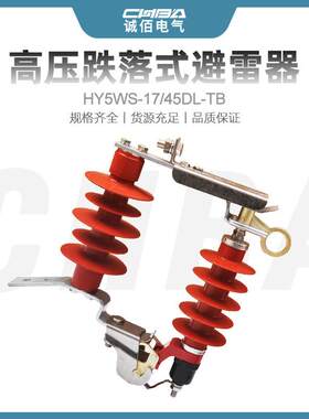 诚佰可卸式氧化锌避雷器HY5WS-17/50DL-TB户外跌落式硅橡胶防雷