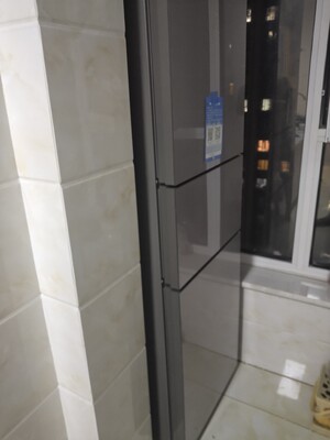 这款海尔 BCD-225WDCJ(DZ)冰箱怎么样，缺点有哪些？