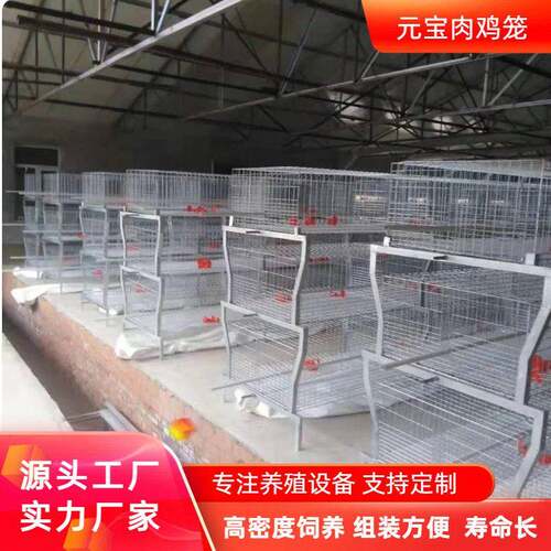 元型肉鸡笼全自动化鸡笼养殖场鸡舍养鸡设备养殖设备