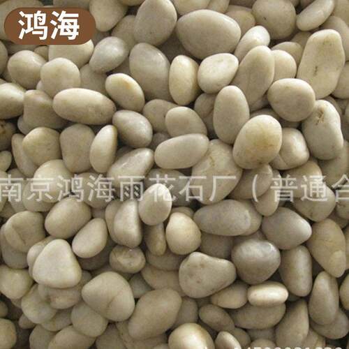 园林景观造景专用南京白色雨花石抛光鹅卵石园林用石子白色雨花石