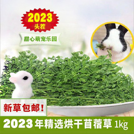 23年头茬烘干紫花苜蓿草兔子龙猫豚鼠羊驼干草营养牧草毛重1KG