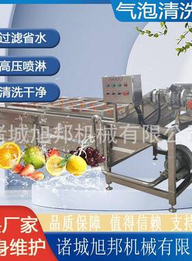 粽叶鼓泡翻浪清洗设备 薄荷叶涡流清洗机 喷淋式辣椒洗菜机