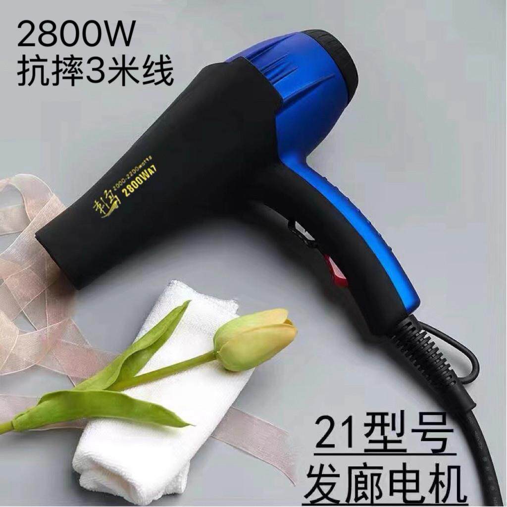 刺鸟吹风机强风速干电吹风机大功率发型师发廊专用理髲店吹风机