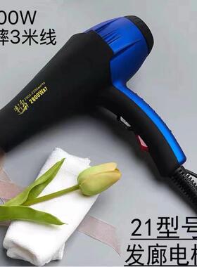刺鸟吹风机强风速干电吹风机大功率发型师发廊专用理髲店吹风机