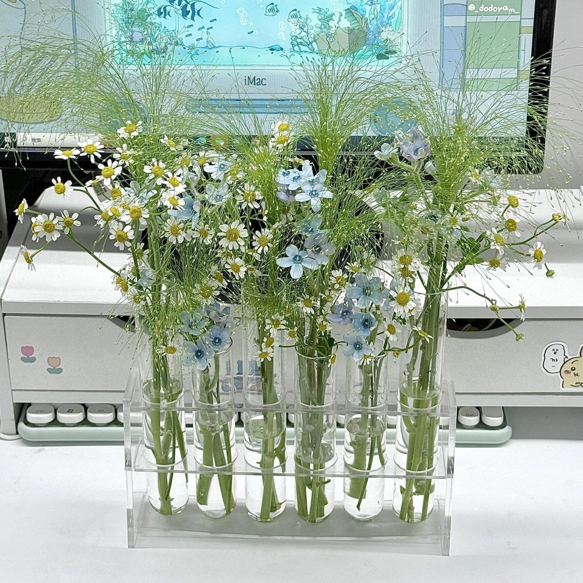 高透玻璃试管花瓶欧式鲜花插花水培器皿花瓶摆件客厅卧室提升氛围