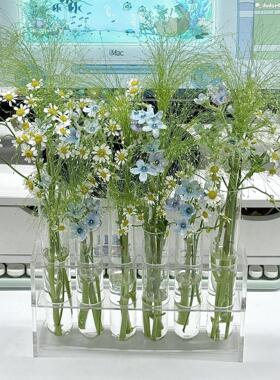 高透玻璃试管花瓶欧式鲜花插花水培器皿花瓶摆件客厅卧室提升氛围
