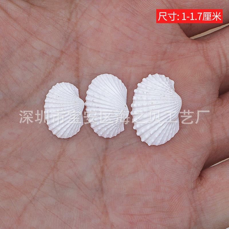 工螺小雪贝迷你y天然海贝壳鱼缸造景装迷你小雪饰手di微景观材料