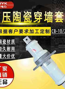 10kV高压陶瓷套管CB-10/200A扁铜排穿墙套管户内铜导体白陶瓷套管