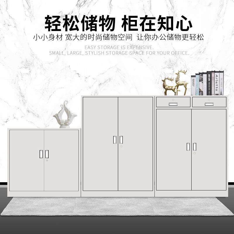 钢制办室锁档资案柜料柜财务凭公证XMR-24储物柜放杂物钢制带文件