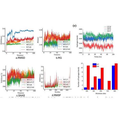 GROMACS 分子动力学模拟 lammps 虚拟筛选 生物信息学分析