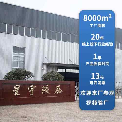 厂家供应液压梯站升泵降平台专用舞台登车桥动力单IBG元货传非菜