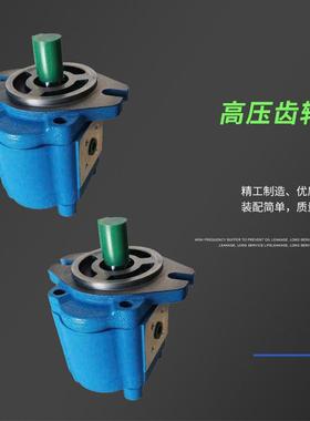 A1FL高压B1FR齿轮泵CBK1004/1006/1008/1010/1012/1016/1020/1025