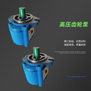 1010 1008 1012 1016 1025 A1FL高压B1FR齿轮泵CBK1004 1020 1006