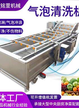 全自动气泡清洗机水果果蔬清洗设备净菜叶菜类辣椒蔬菜清洗机