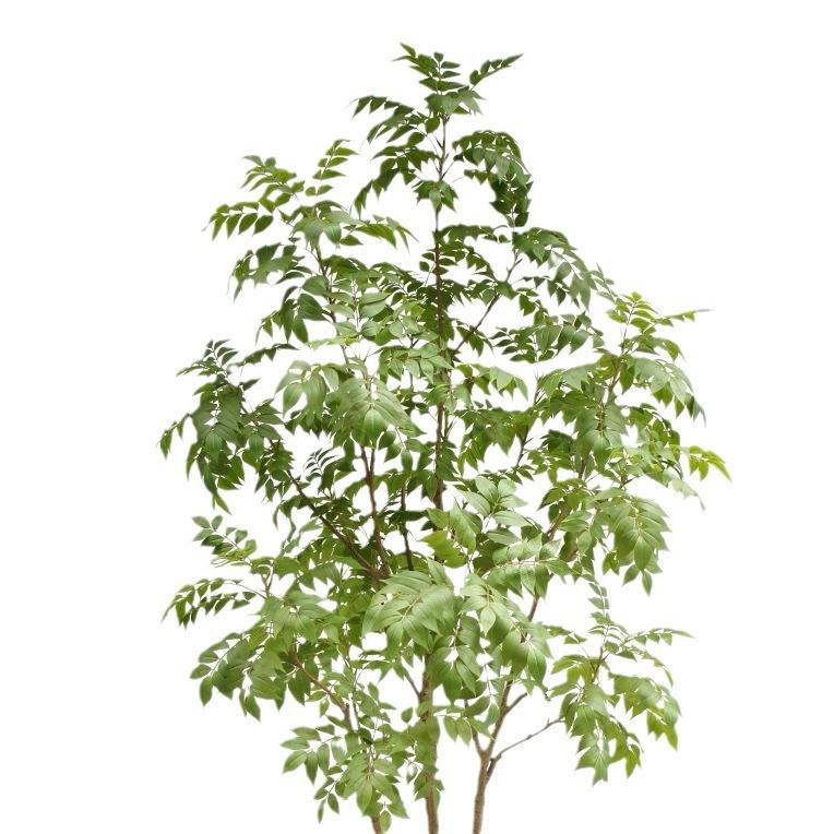 含阳仿真绿植漆木树绿植盆栽北欧风家居大型玄关落地仿真树