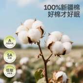 婧麒纯幼儿园子件套棉三a类被褥入园床被品午Jyp19217睡专用小被