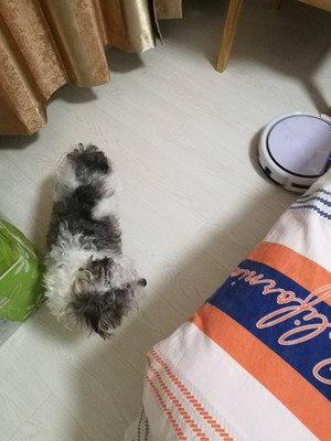 IlifeV3和iRobot890扫地机器人哪个好，优缺点区别是？