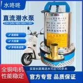 48V60V直流潜水泵72V农用电动车电瓶车专用抽水泵通用浇菜抽水机