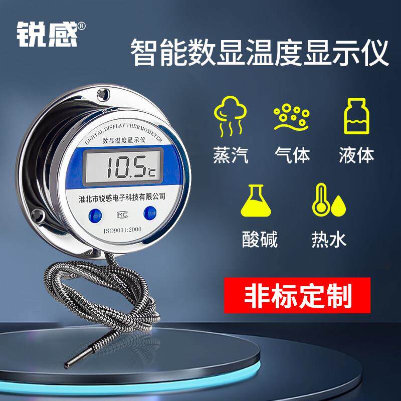 数显温度计带监视器测水温耐酸碱工业用热水测量仪耐高温防水温度