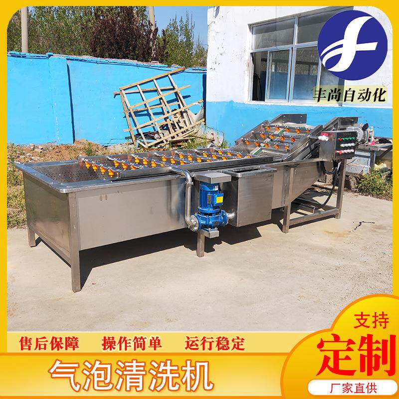 蔬菜清洗机 空心菜黄花菜气泡清洗机 叶类菜清洗整套处理设备