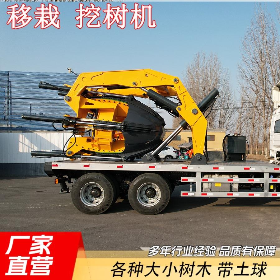 全自动带土球挖树机出口包安装大型苗木移栽机车载式榴莲树起树机