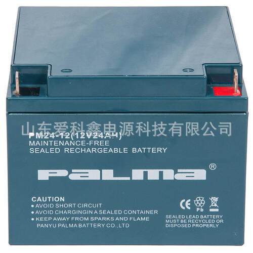 palma蓄电池PM24-12 UPSEPS直流屏用蓄电池12v24ah免维护电瓶