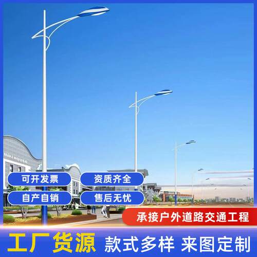 市电路灯LED220V庭院景观灯太阳能路灯高杆灯草坪灯道路生产厂家
