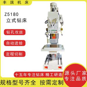 厂家直供出口货源Z5180方柱立式钻床重型半自动立钻深孔钻钻孔机