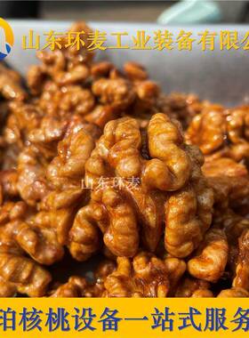300L琥珀核桃仁设备 全套琥珀核桃仁机器厂家 山东环麦