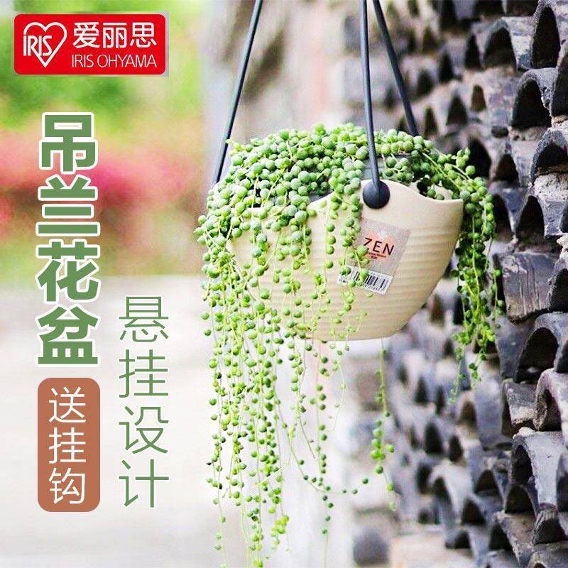 IRIS垂吊吊兰花盆悬挂式塑料吊篮懒人黄金葛常春藤吊球加厚爱丽丝