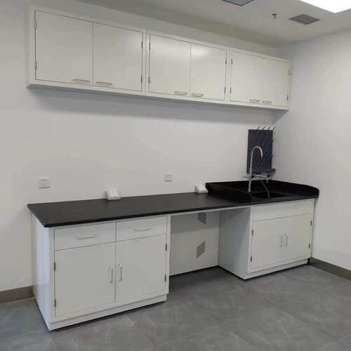 厂家实验验室工作台钢中央木实验台家具PP03设全钢备操作实室专用