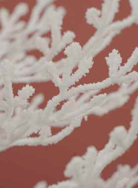 诞圣可调节MYR圣诞节装饰摆件仿酒店商场布置树装饰白色真圣诞树