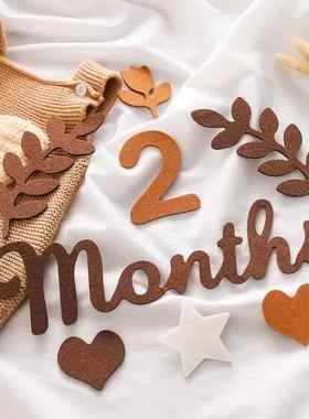 Baby Milestone Cards Soft Felt 0-12 Monthly Milestones Memor