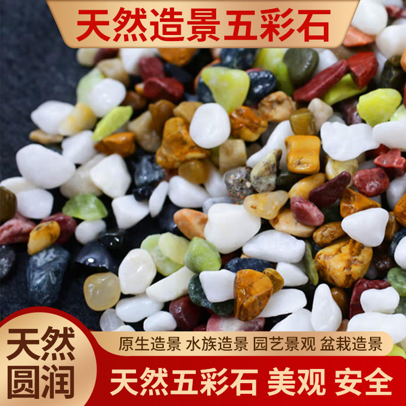 五彩石彩色石头鱼缸底砂造景水族