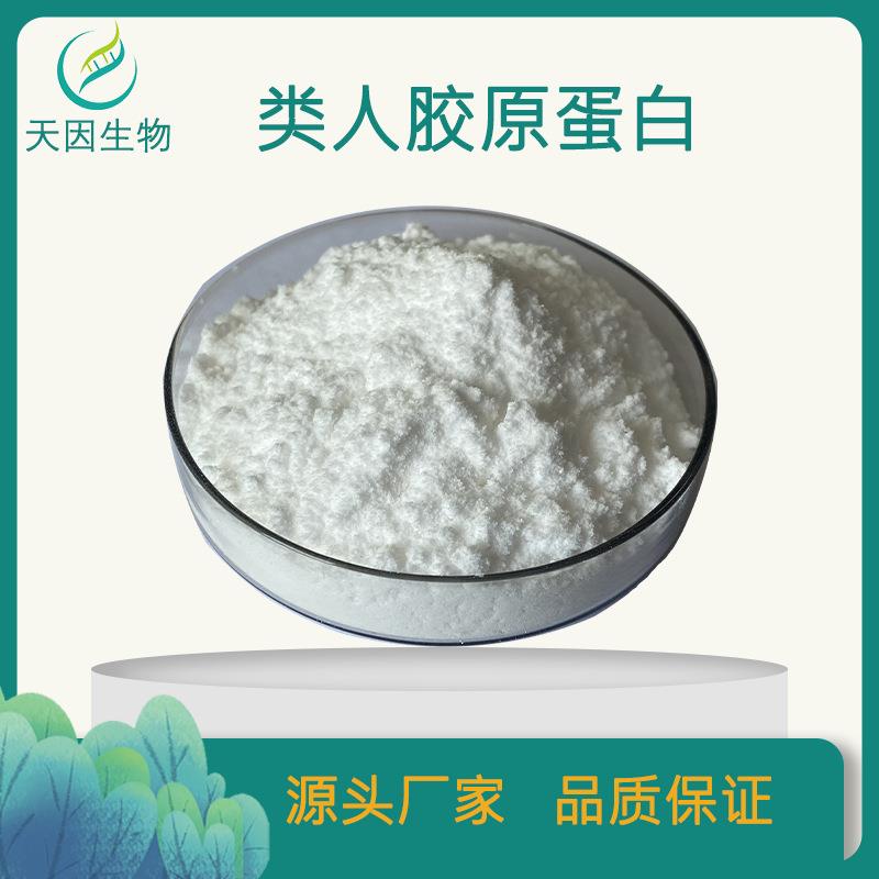 重组三型胶原蛋白98%重组3型冻干粉原料 1克/管高含量 现货包邮